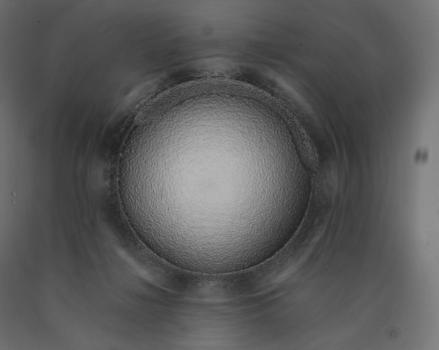 X0000090450268200708031224