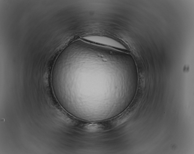 X0000090450269200708031224