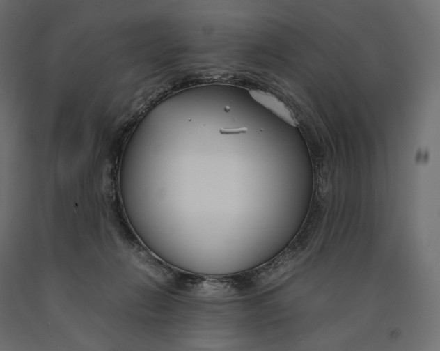 X0000090450270200708031224