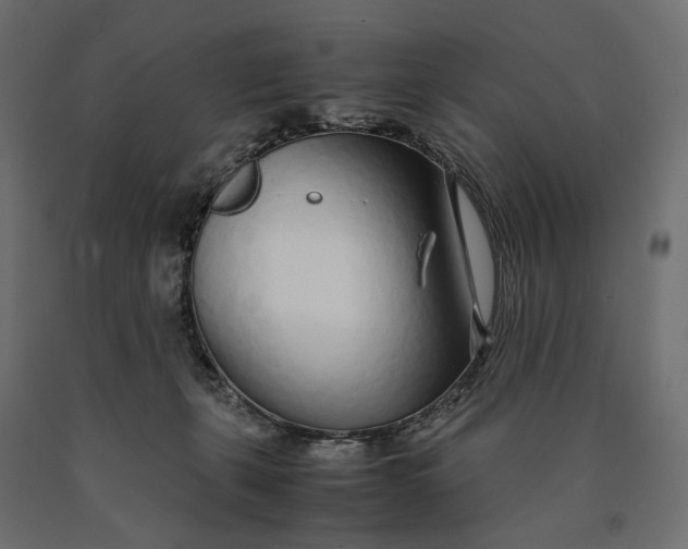 X0000090450271200708031224