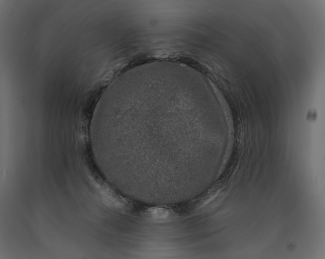 X0000090450272200708031224