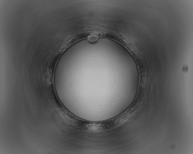 X0000090450273200708031224