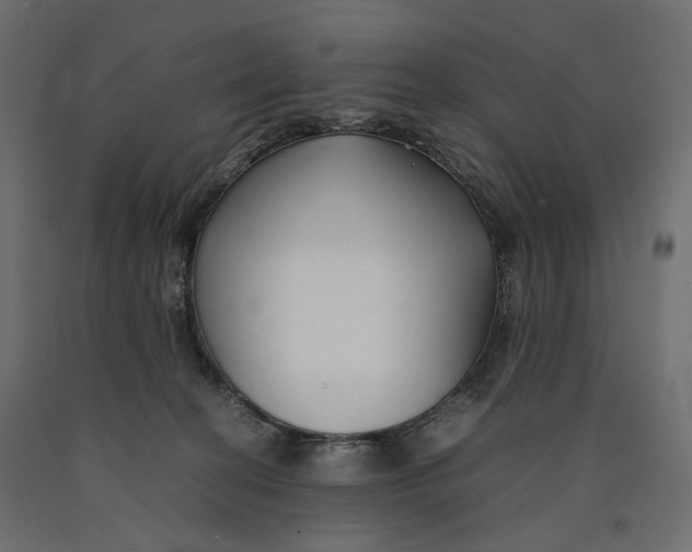 X0000090450274200708031224