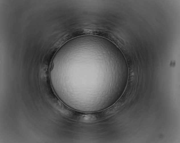 X0000090450275200708031224