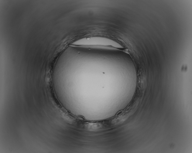 X0000090450277200708031224