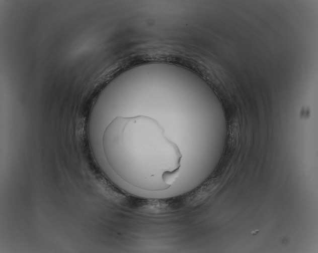 X0000090450278200708031224