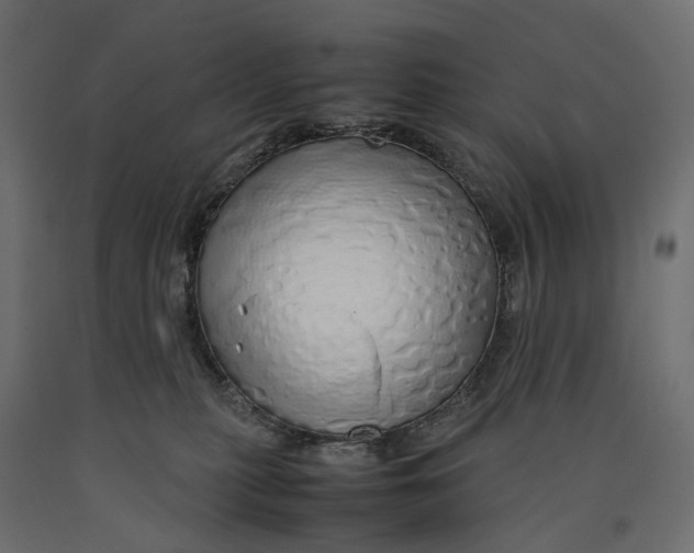 X0000090450279200708031224