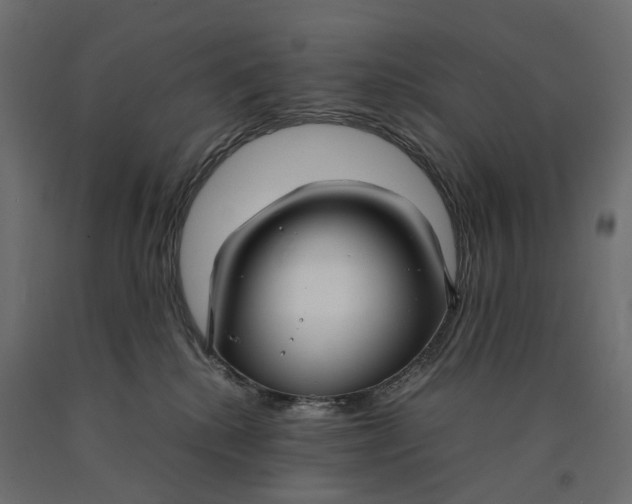 X0000090450280200708031224