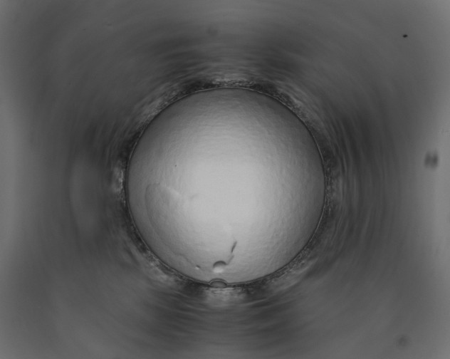 X0000090450281200708031224