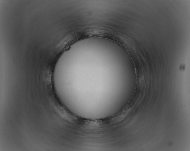 X0000090450282200708031224