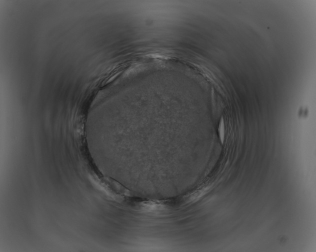 X0000090450284200708031225