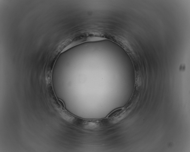 X0000090450285200708031225