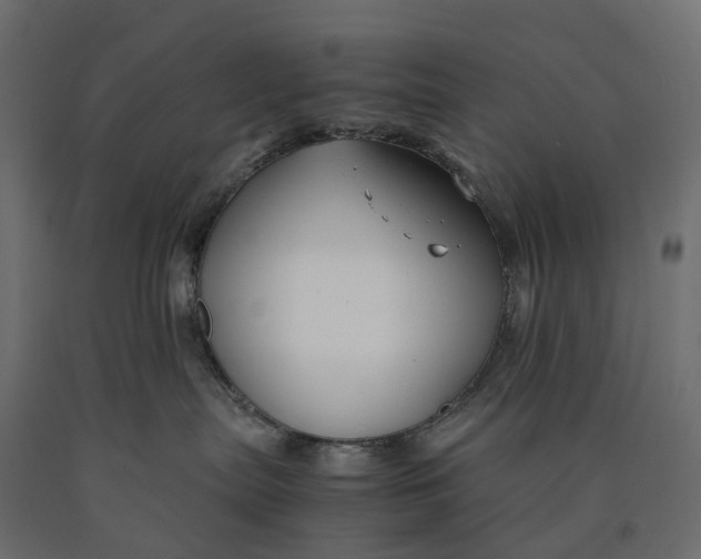 X0000090450287200708031225