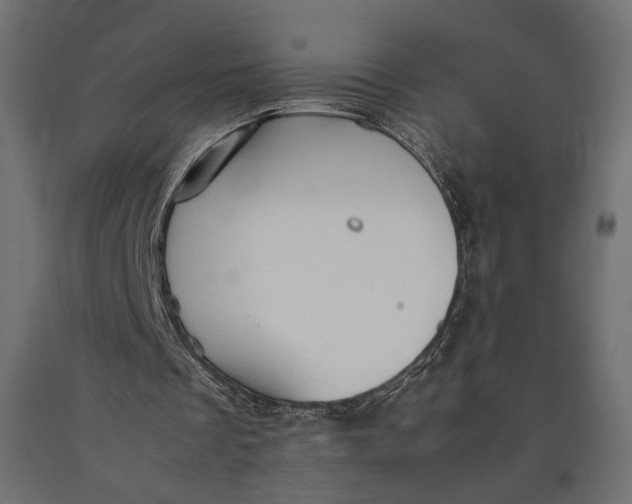 X0000090450289200708031224