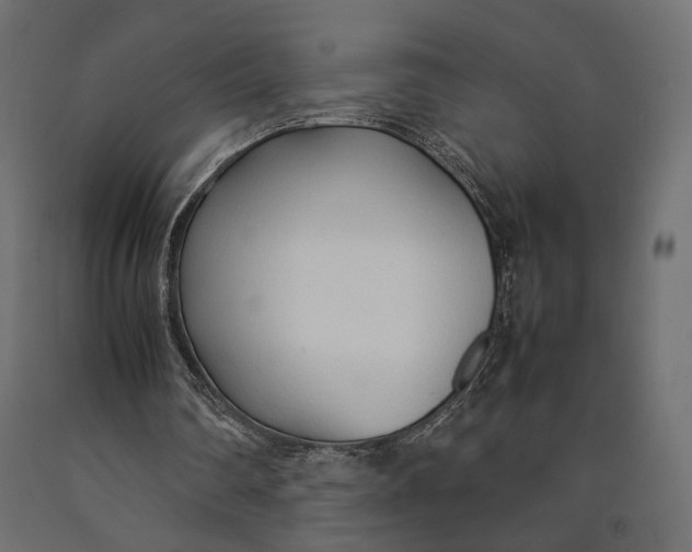 X0000090450290200708031224