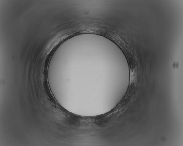 X0000090450291200708031224