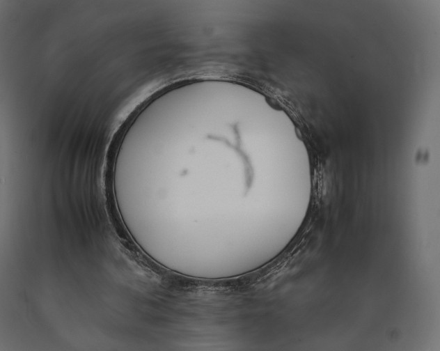 X0000090450292200708031224