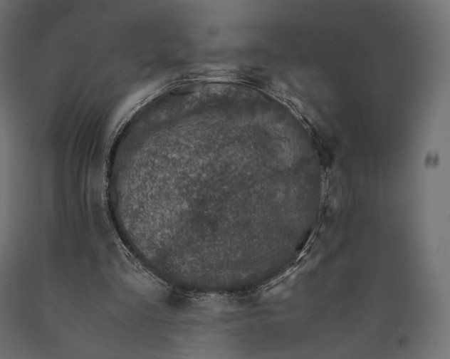 X0000090450293200708031224