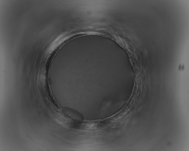 X0000090450295200708031224