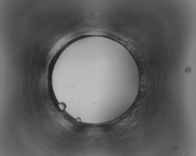 X0000090450296200708031224