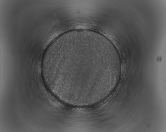 X0000090450297200708031224