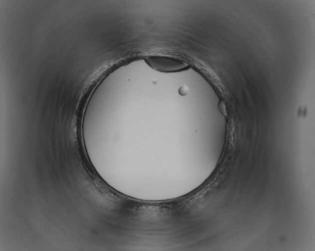 X0000090450298200708031224