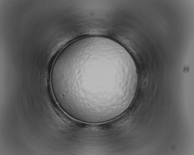 X0000090450299200708031224