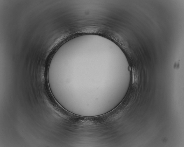 X0000090450300200708031224