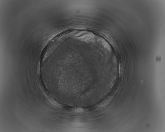 X0000090450301200708031224