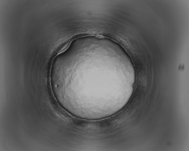 X0000090450303200708031224