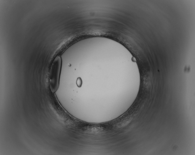 X0000090450304200708031224