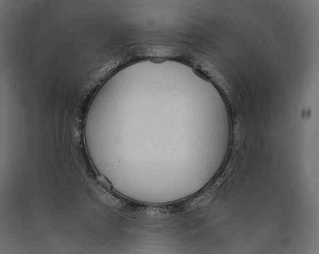 X0000090450305200708031224