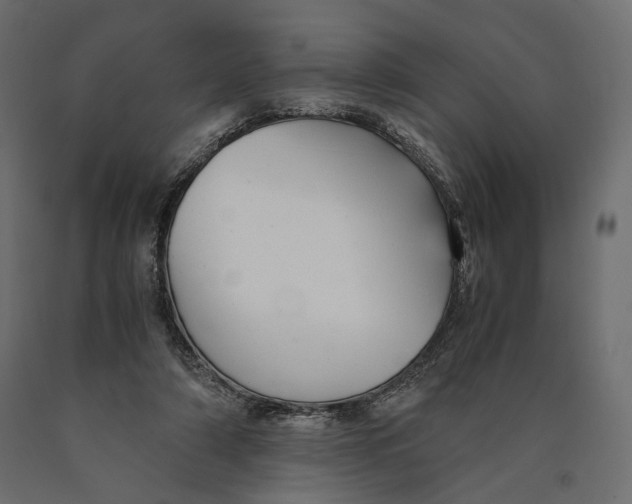 X0000090450306200708031224