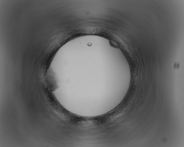 X0000090450307200708031224