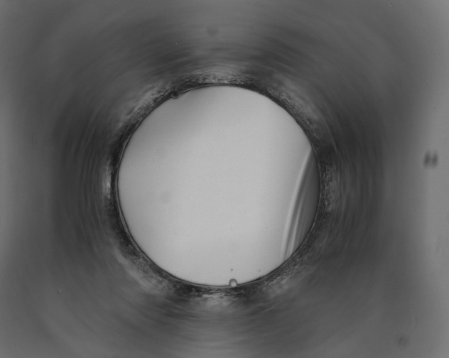 X0000090450310200708031224