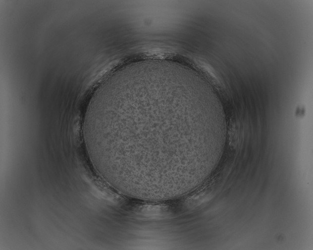 X0000090450314200708031224