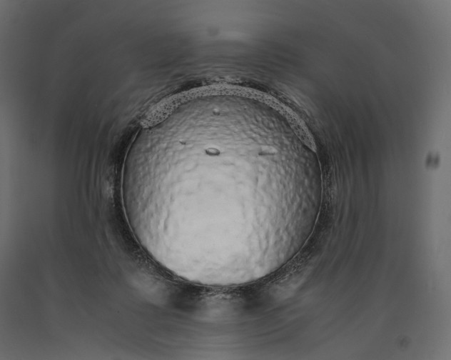 X0000090450315200708031224