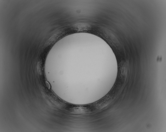 X0000090450316200708031224