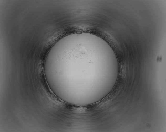 X0000090450318200708031223