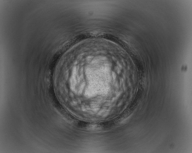 X0000090450319200708031223