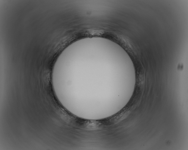 X0000090450321200708031223