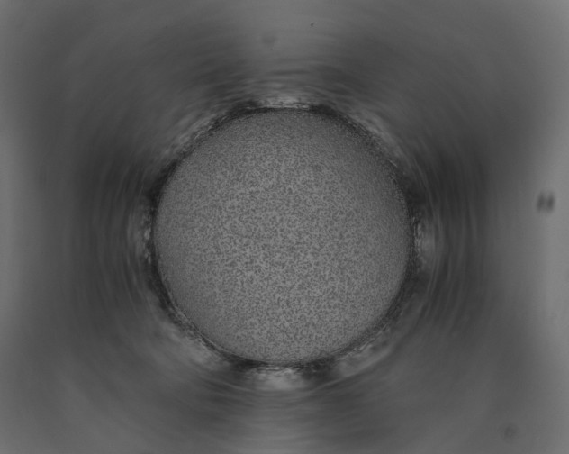 X0000090450322200708031223