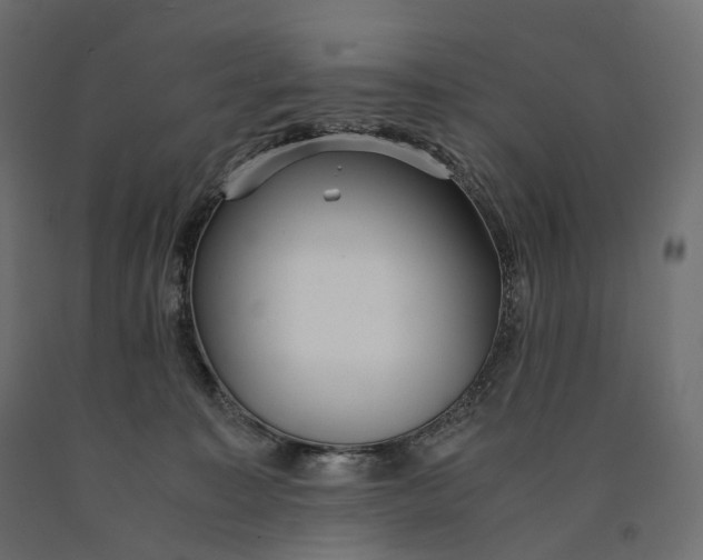 X0000090450323200708031223