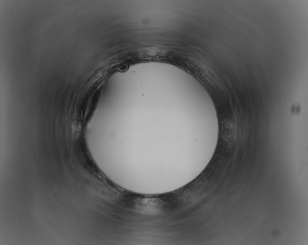 X0000090450324200708031223