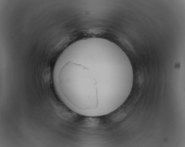 X0000090450328200708031223