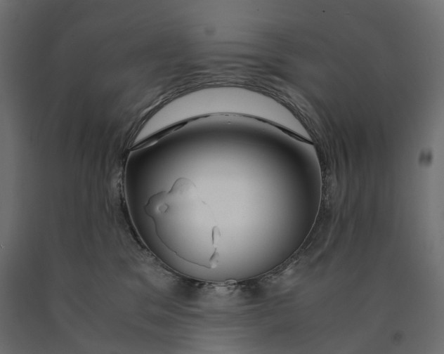 X0000090450329200708031223