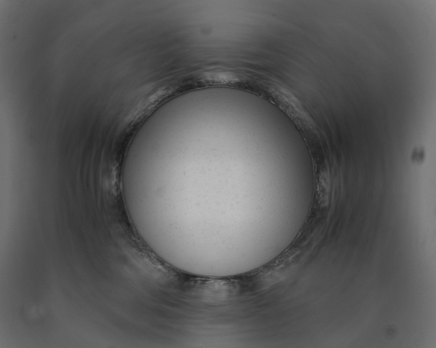 X0000090450330200708031223