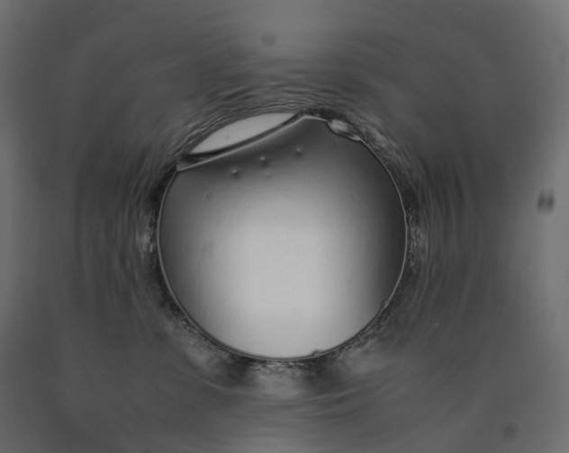 X0000090450331200708031223