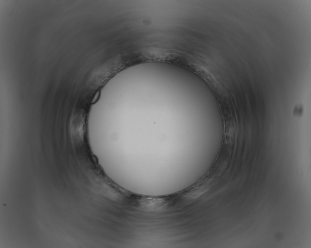 X0000090450334200708031223