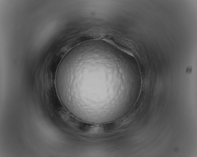 X0000090450335200708031223